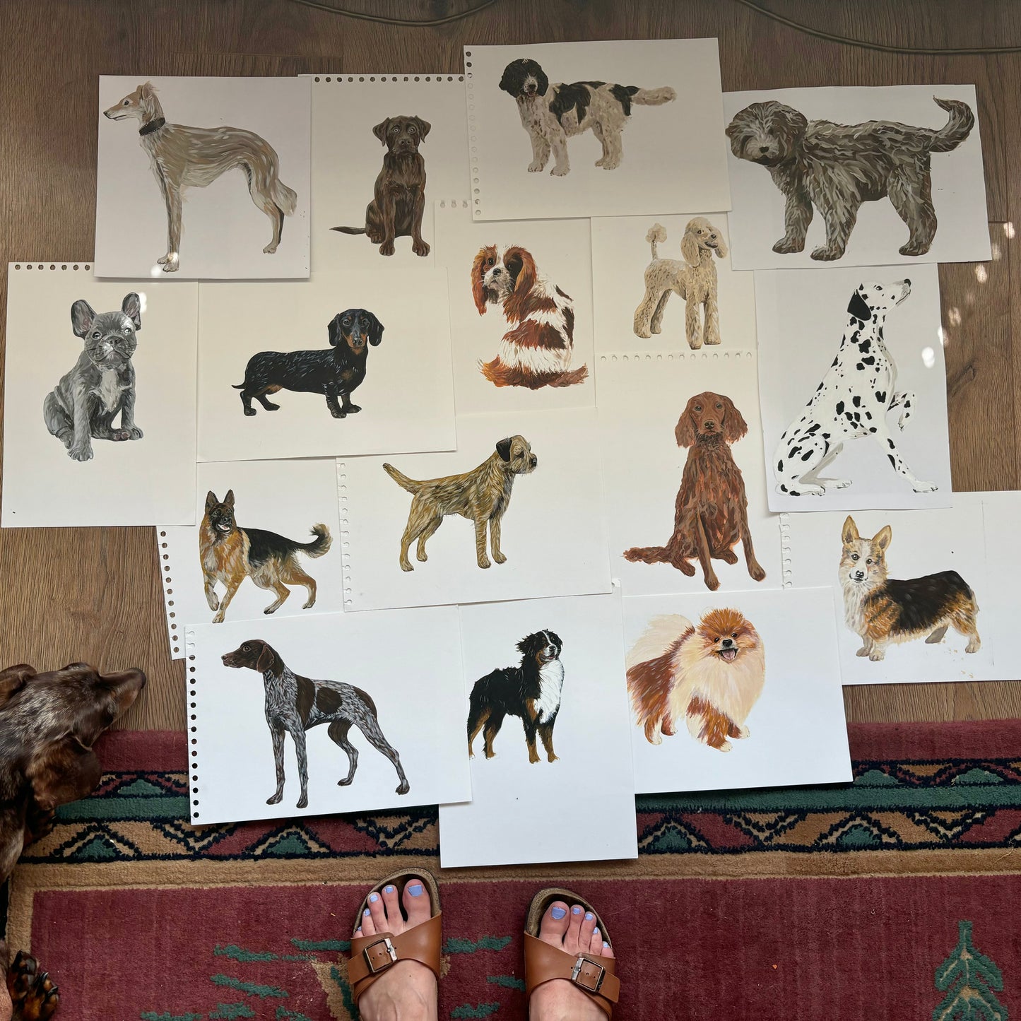 Dog Lovers Greetings Cards