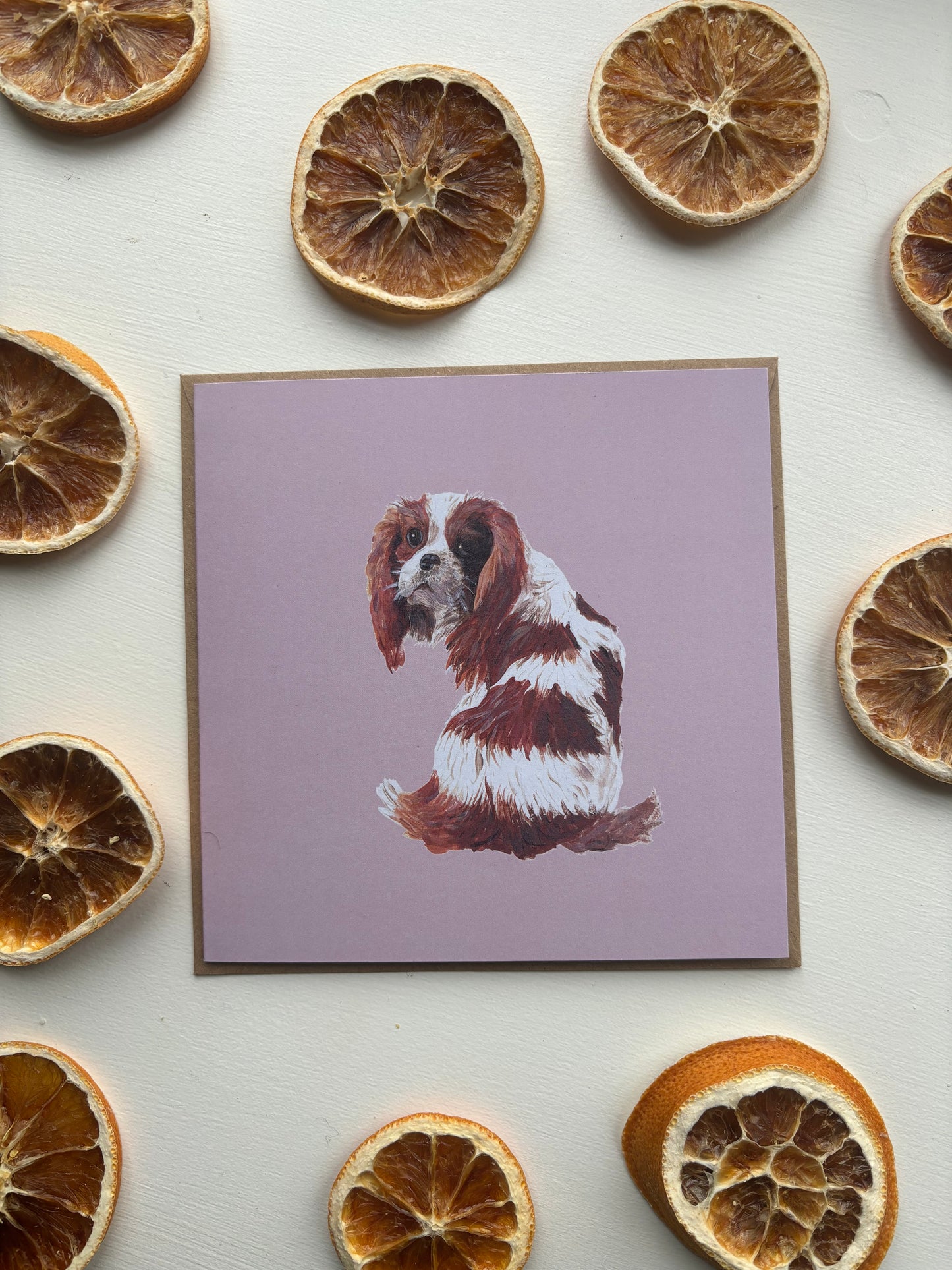 Dog Lovers Greetings Cards
