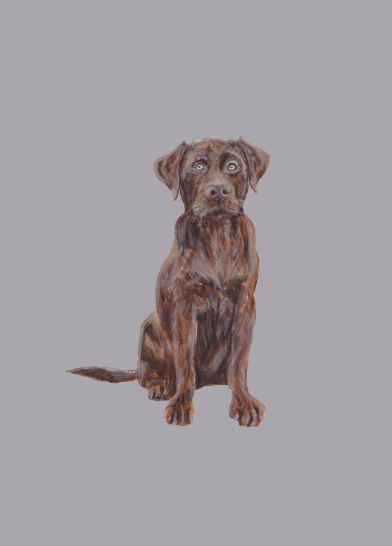 Dog Lovers Greetings Cards